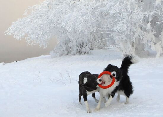Russia Winter