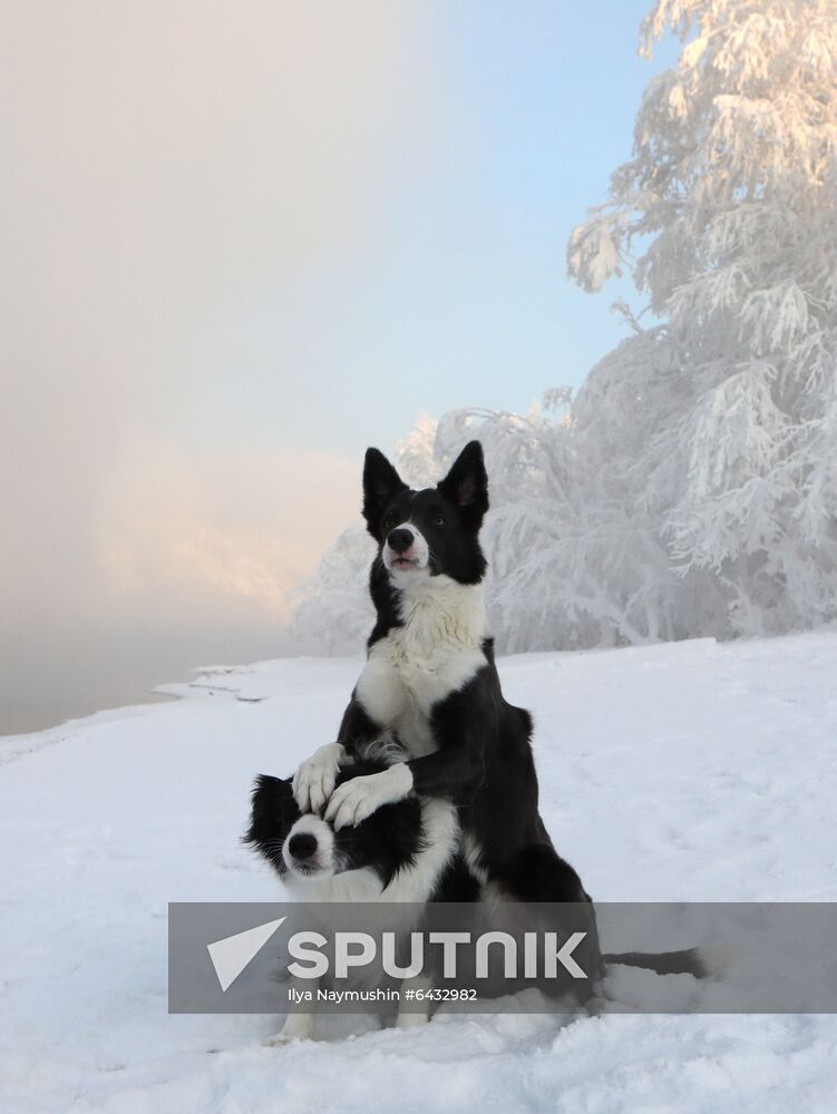 Russia Winter