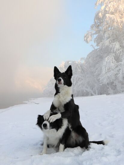 Russia Winter
