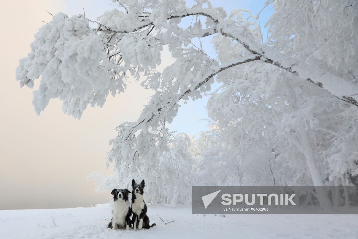 Russia Winter