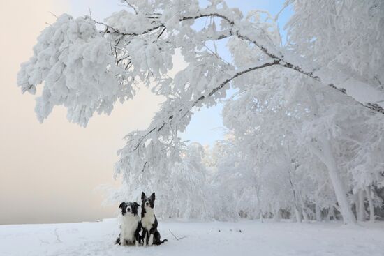 Russia Winter