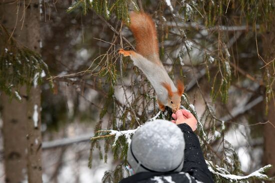 Russia Holiday Season
