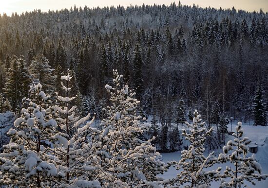 Russia Winter