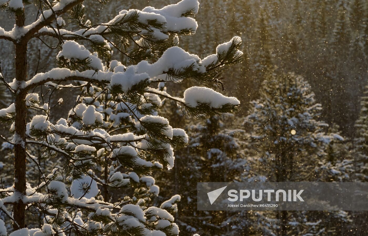 Russia Winter