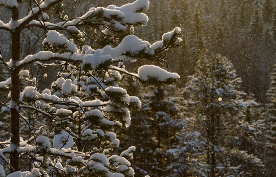 Russia Winter