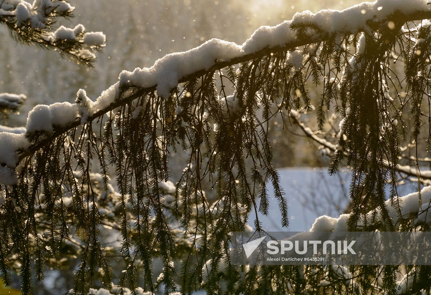 Russia Winter