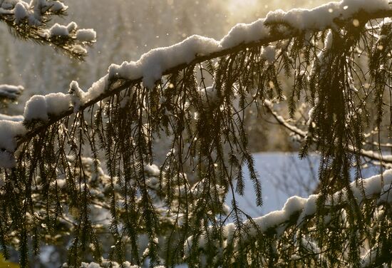 Russia Winter