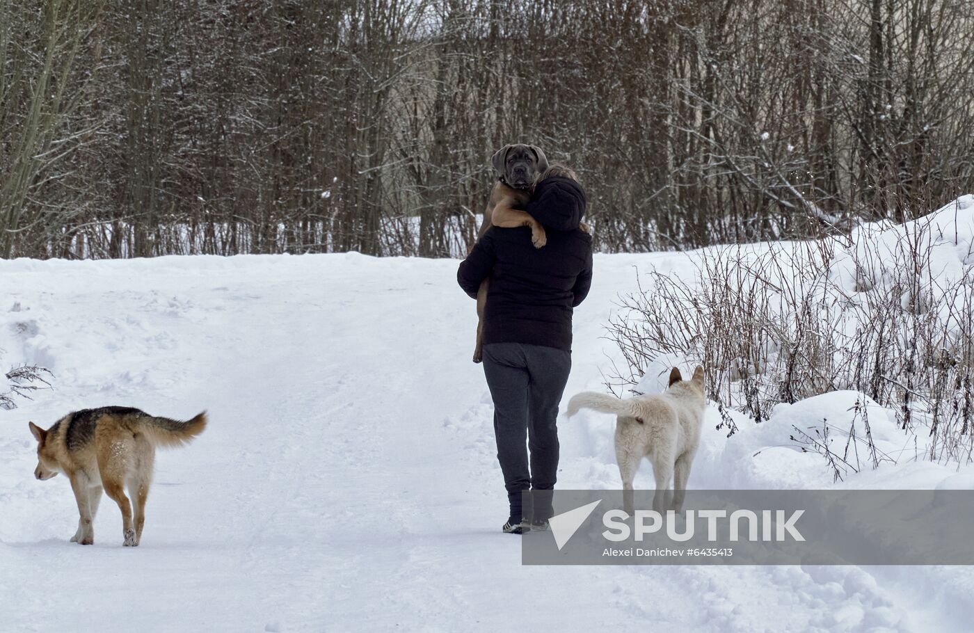 Russia Winter