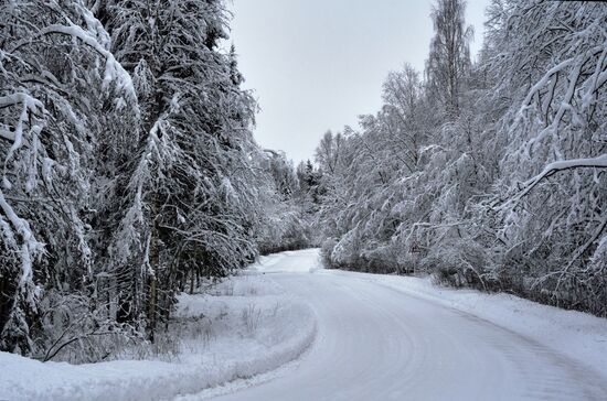 Russia Winter