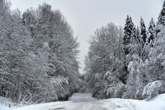 Russia Winter