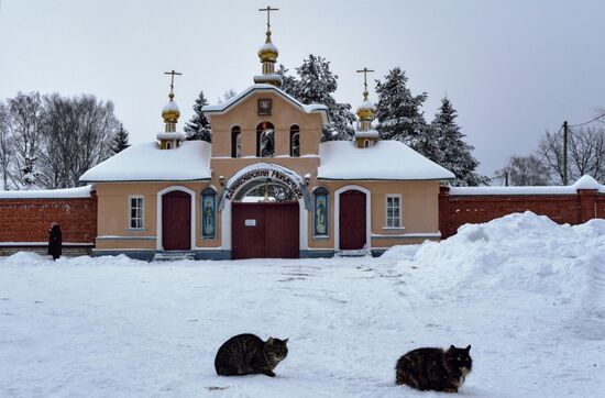 Russia Winter