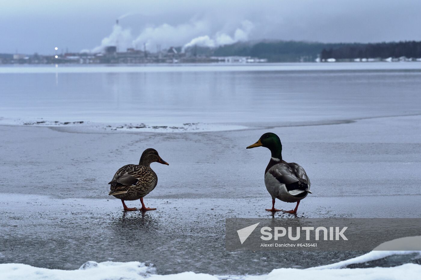 Russia Winter