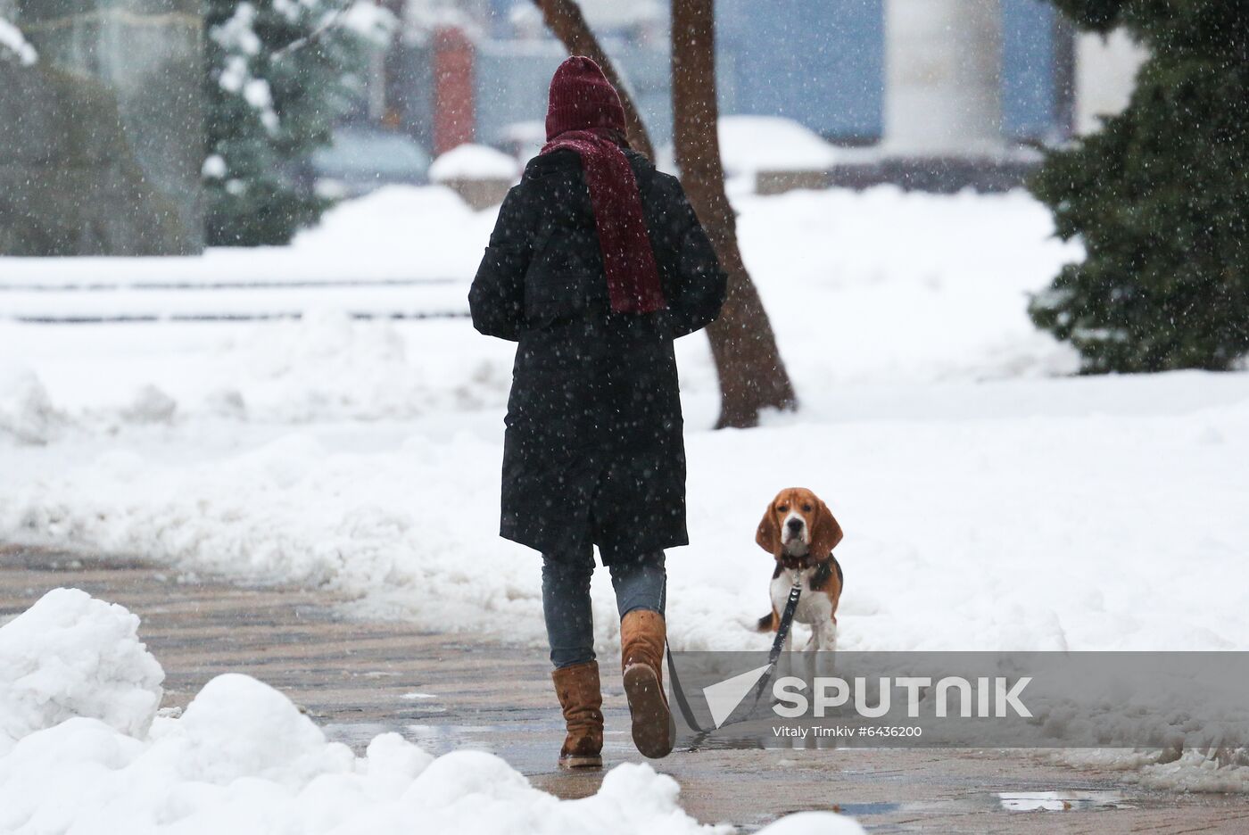 Russia Winter
