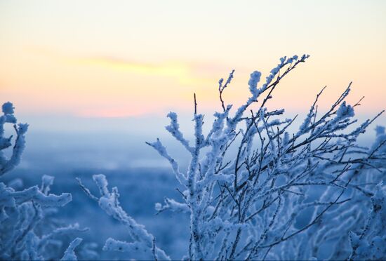 Russia Winter