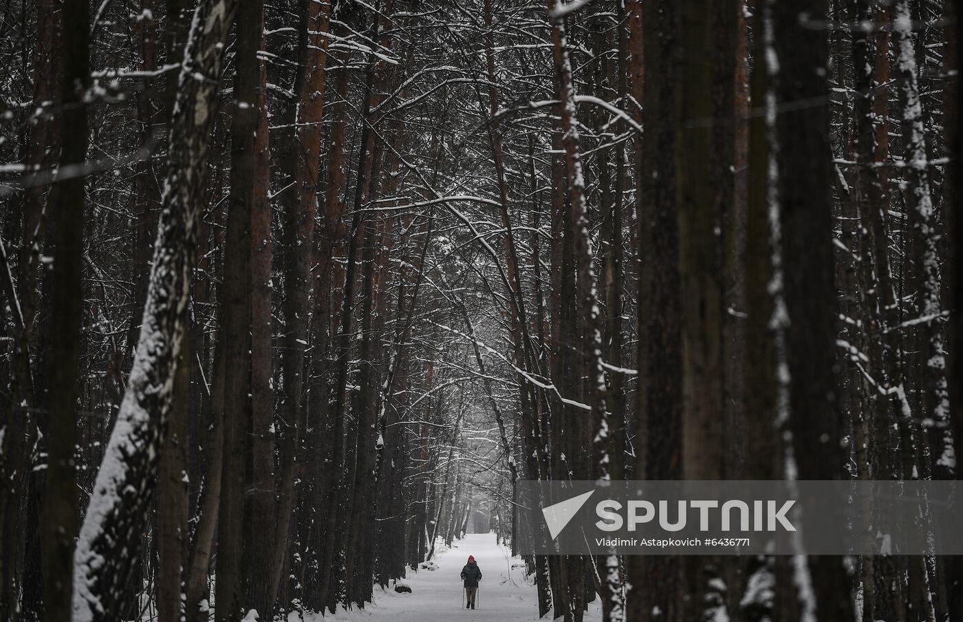 Russia Winter