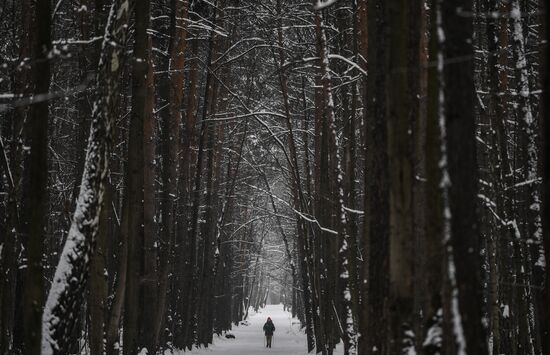 Russia Winter