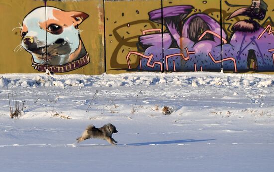 Russia Winter