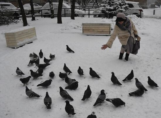 Russia Winter