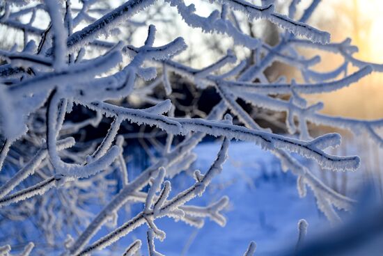 Russia Winter