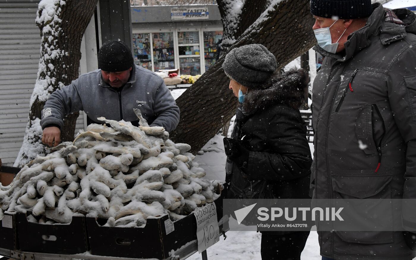 Russia Winter