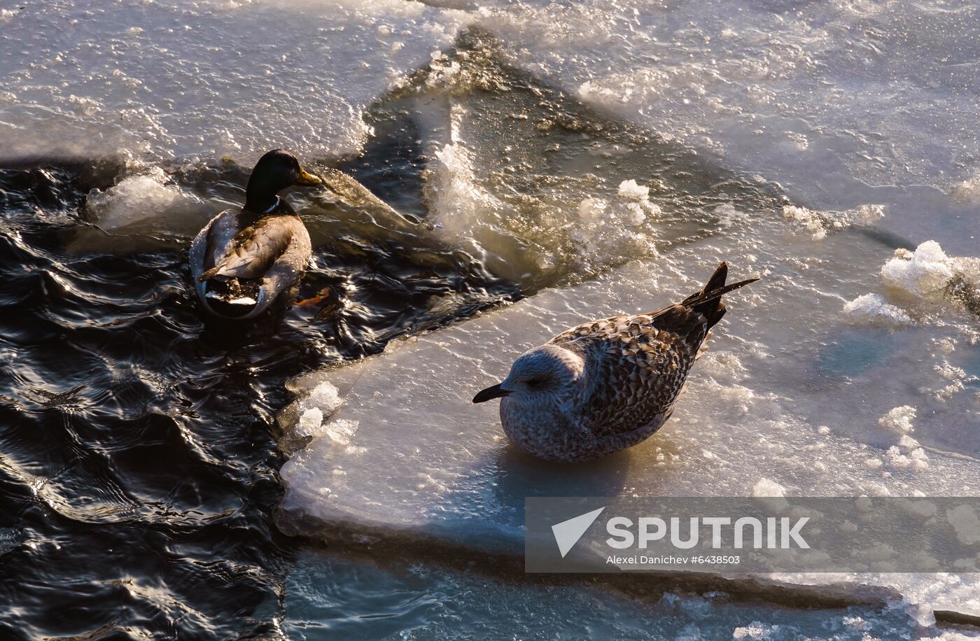 Russia Daily Life