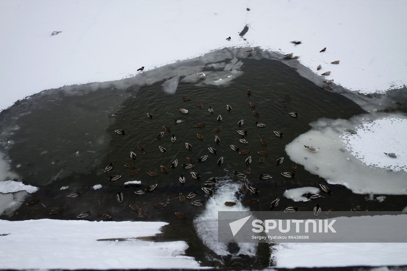 Russia Winter