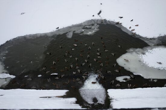 Russia Winter