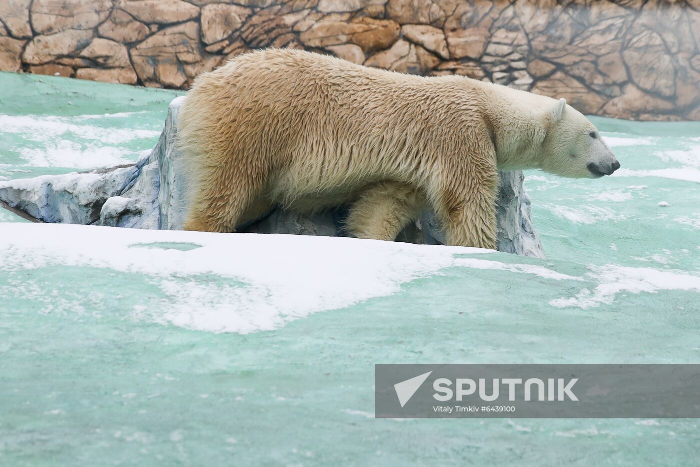 Russia Zoo