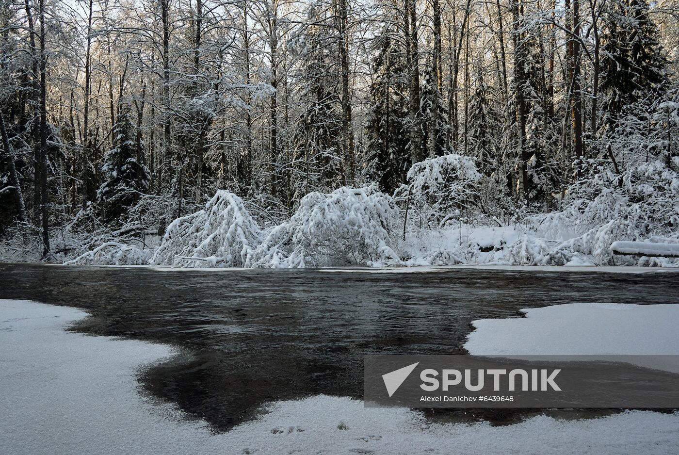 Russia Winter