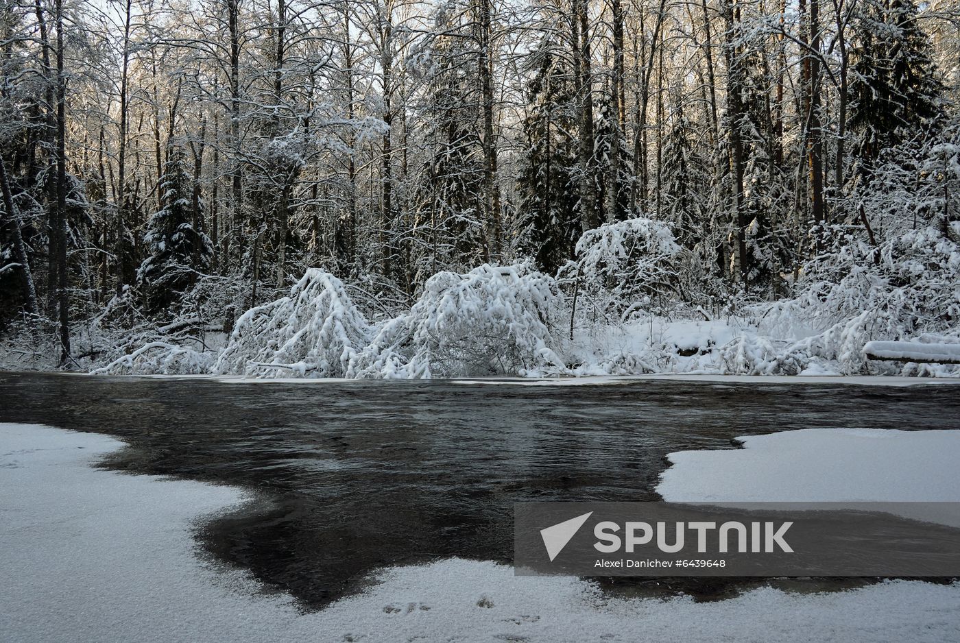 Russia Winter