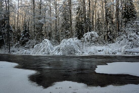 Russia Winter