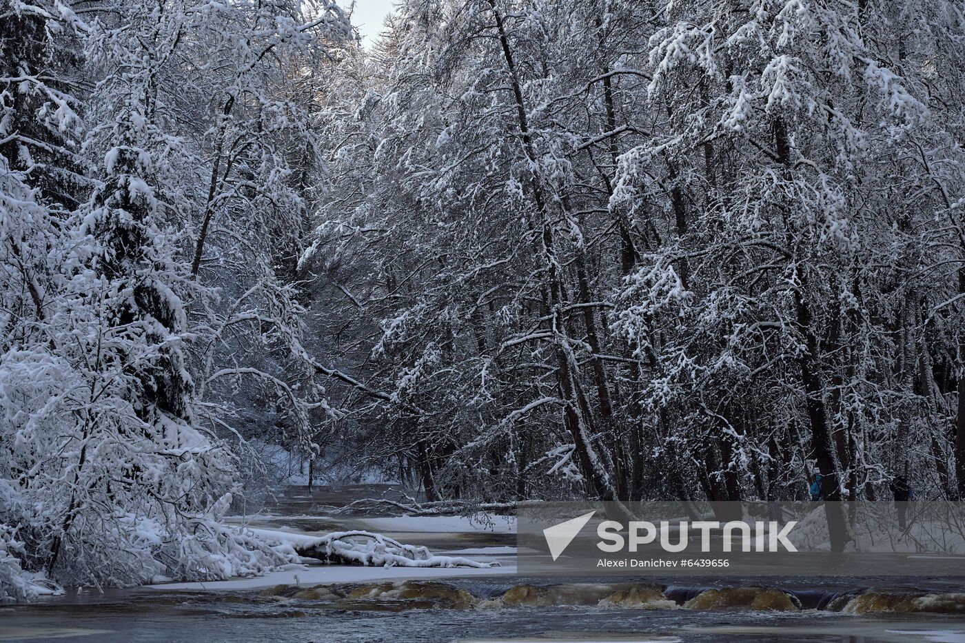 Russia Winter