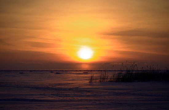Russia Winter