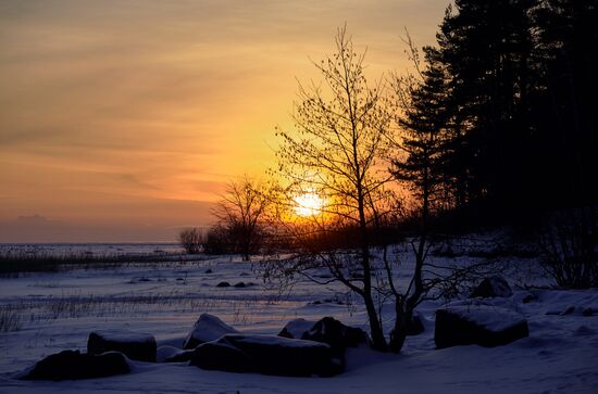 Russia Winter