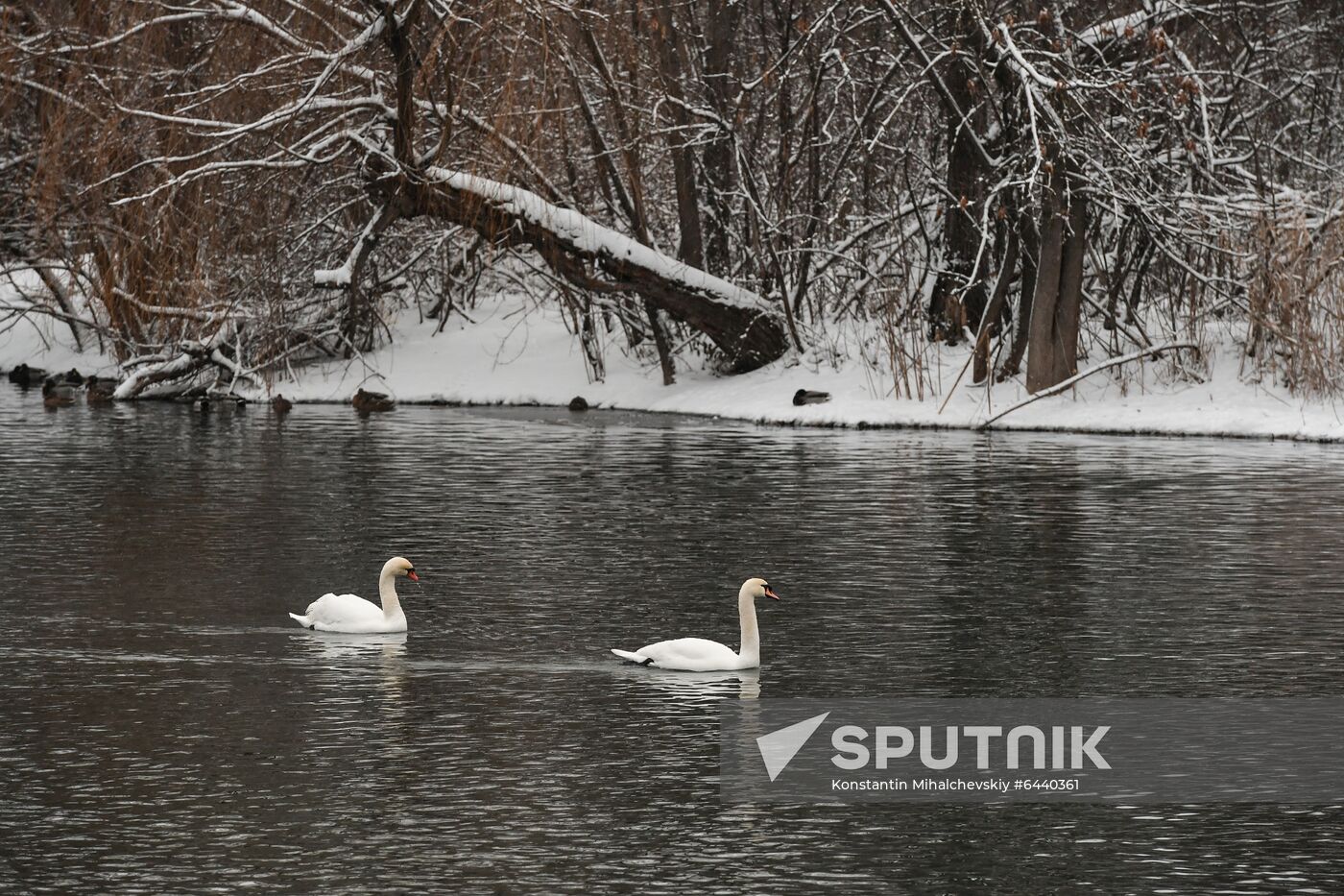 Russia Winter