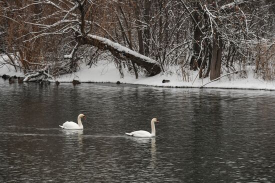 Russia Winter