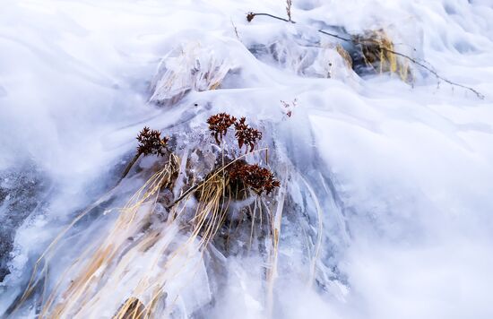 Russia Winter