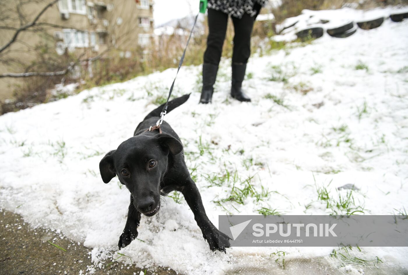 Russia Winter