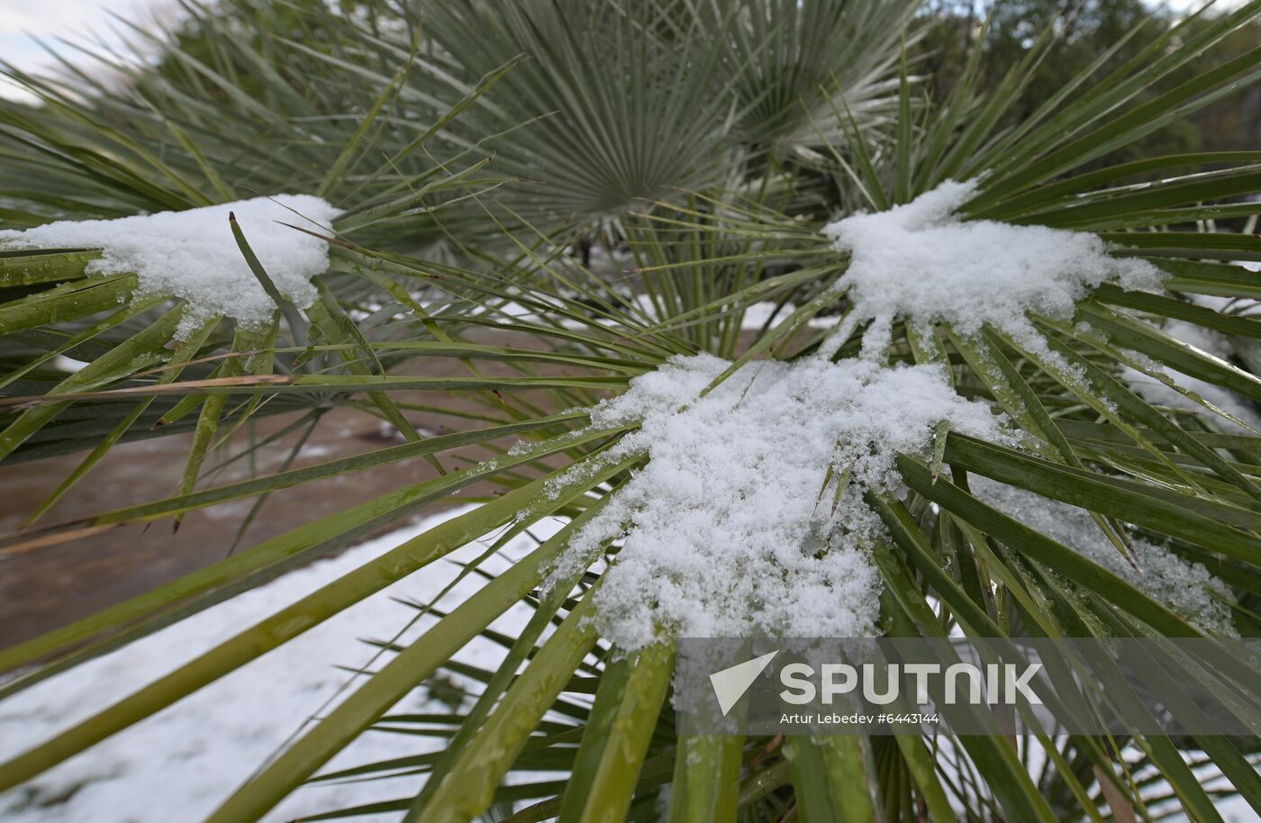 Russia Winter