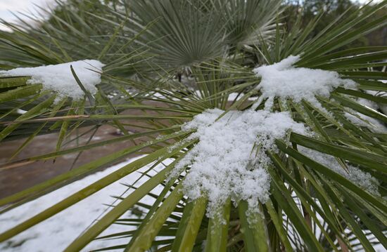 Russia Winter