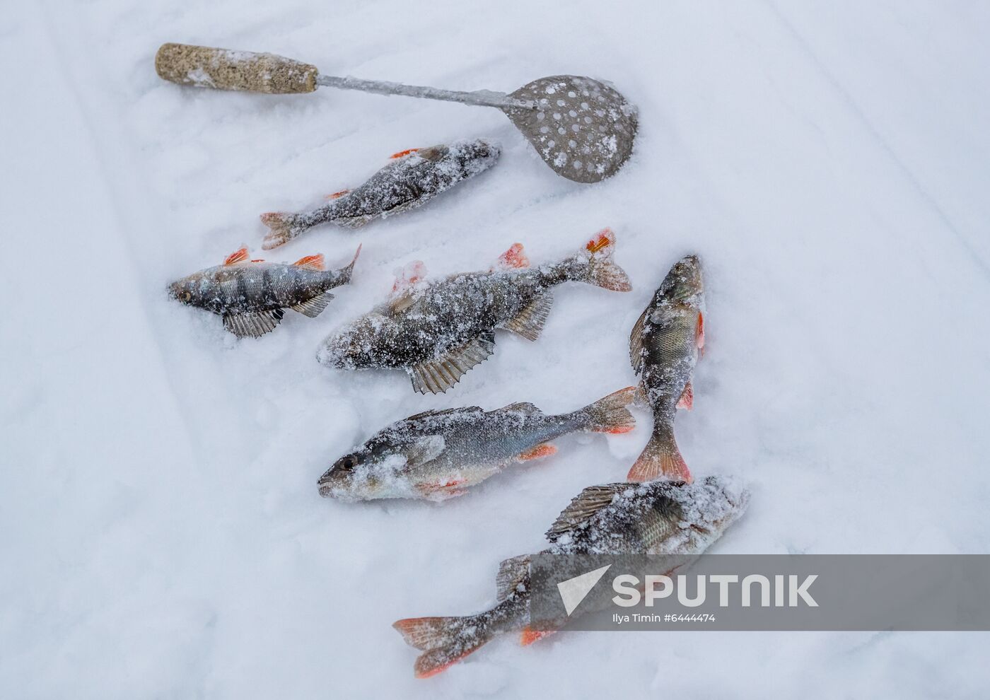 Russia Winter