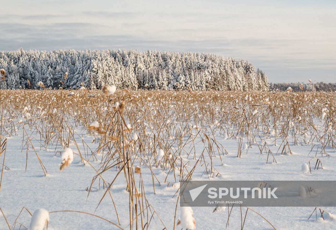 Russia Winter 