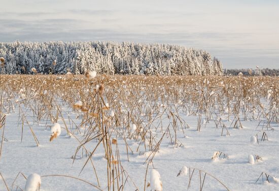 Russia Winter 