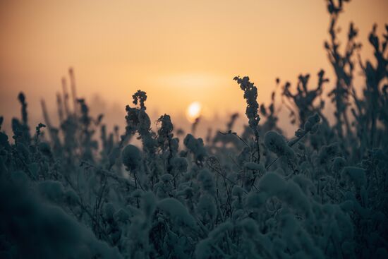 Russia Winter