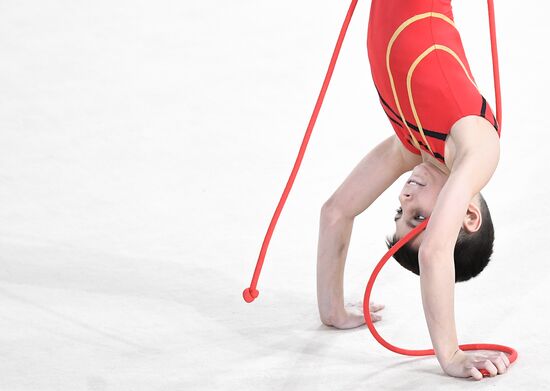 Russia Rhythmic Gymnastics Championship Men