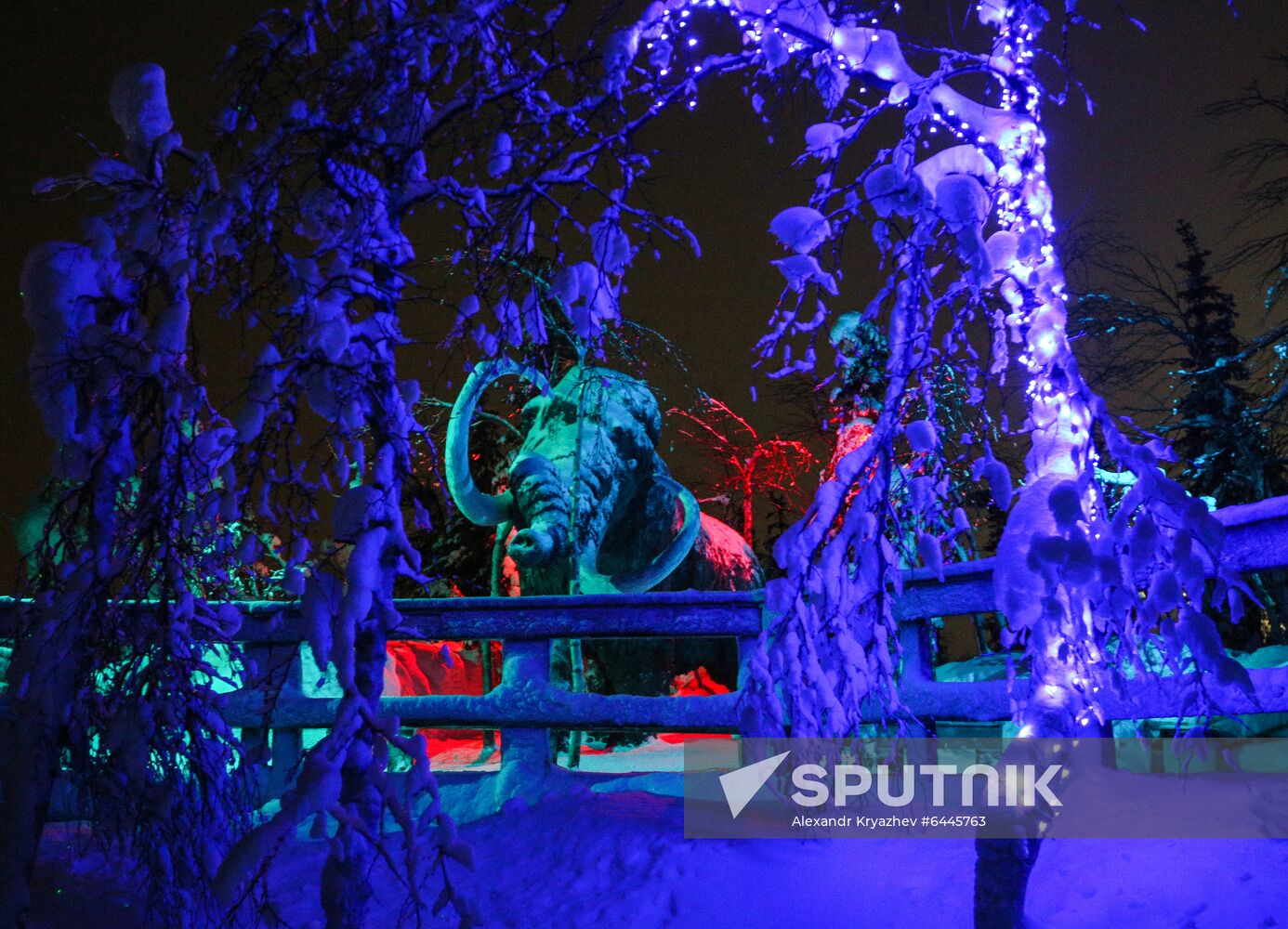 Russia Winter