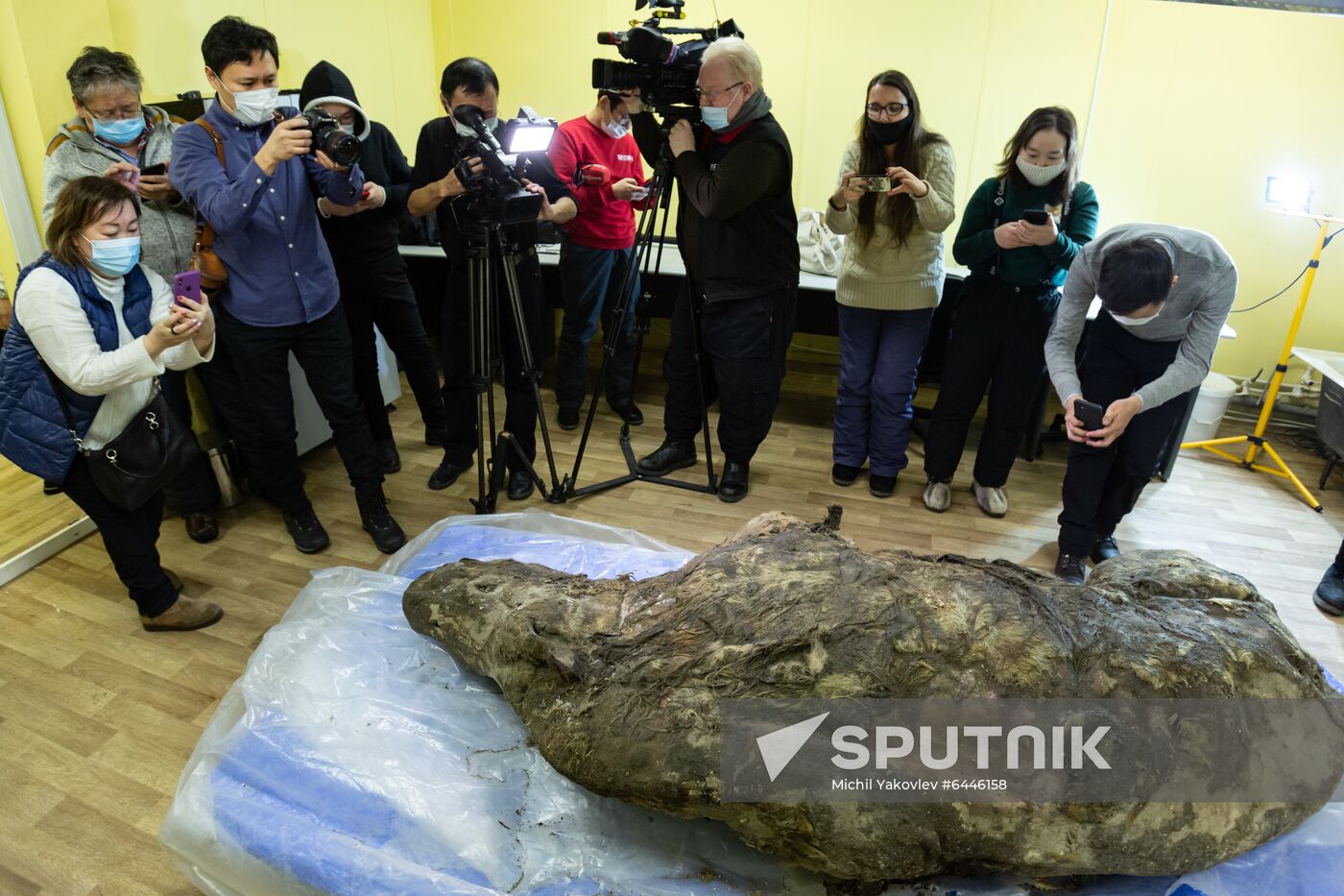 Russia Woolly Rhino 