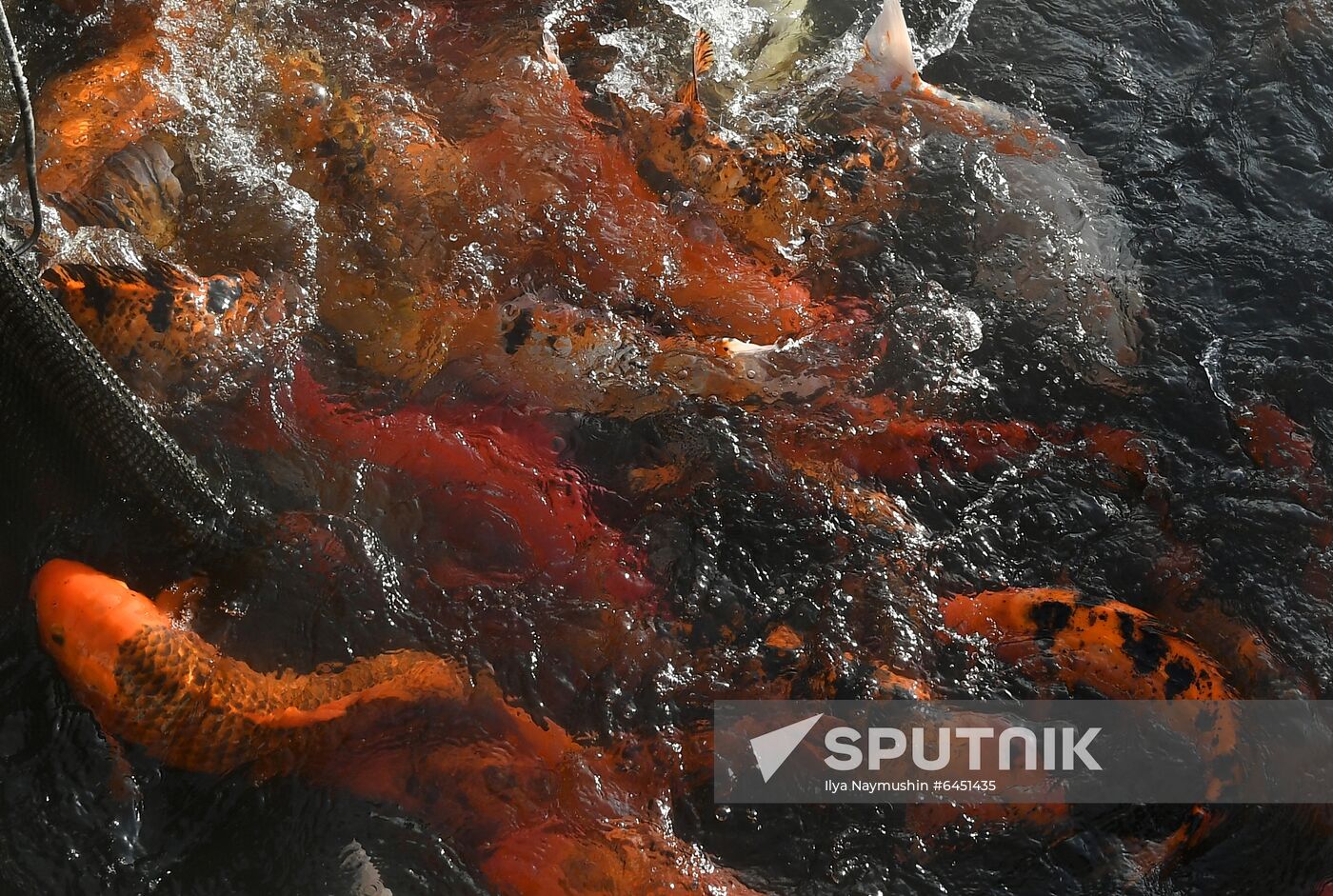 Russia Fish Farm