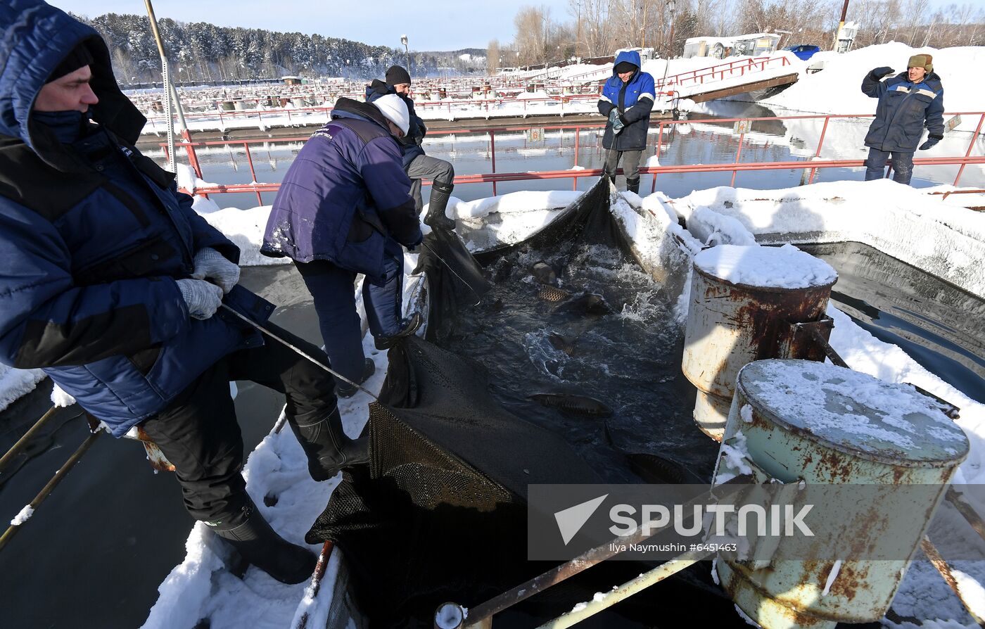Russia Fish Farm