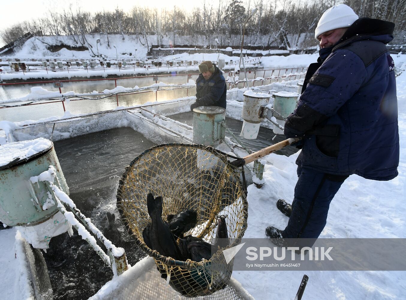 Russia Fish Farm